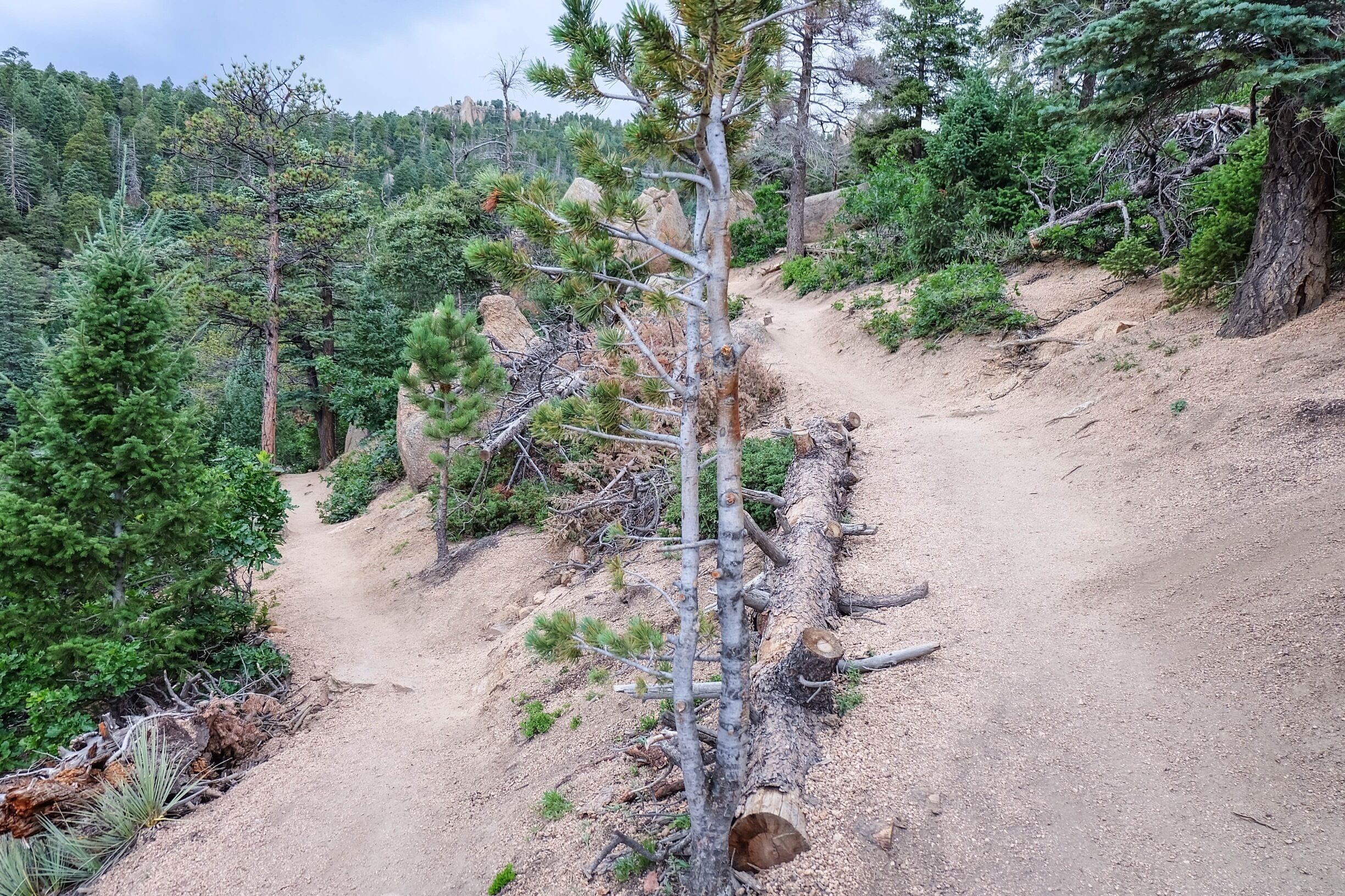 The Barr trail is 4 miles in length and a great way to come down from the manitou incline summit