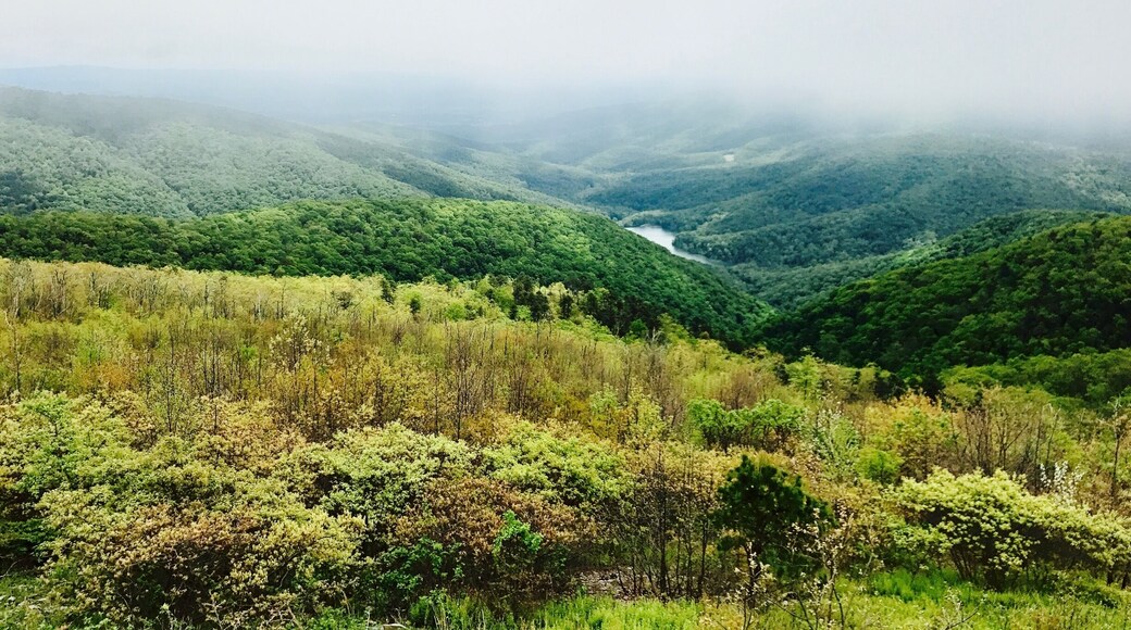 Best look out south of the park! Loving the clouds today