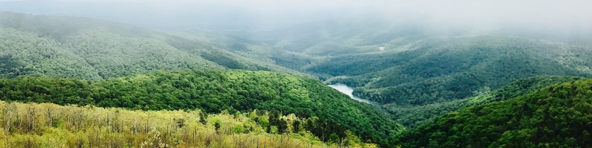 Um vale com florestas verdes densas e um rio serpenteando por ele.