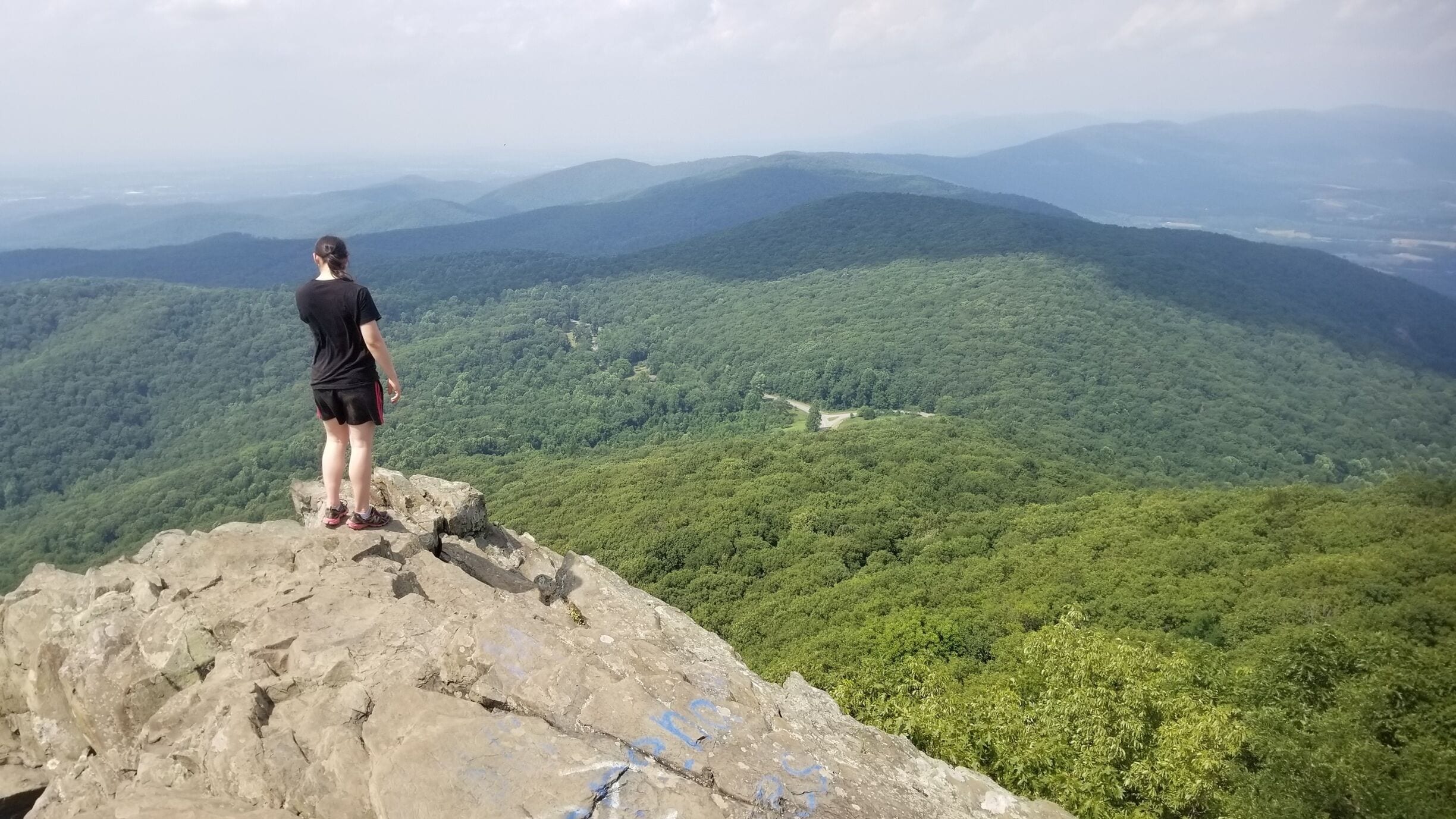 A person standing on a rocky outcrop overlooking a dense forested mountain range.