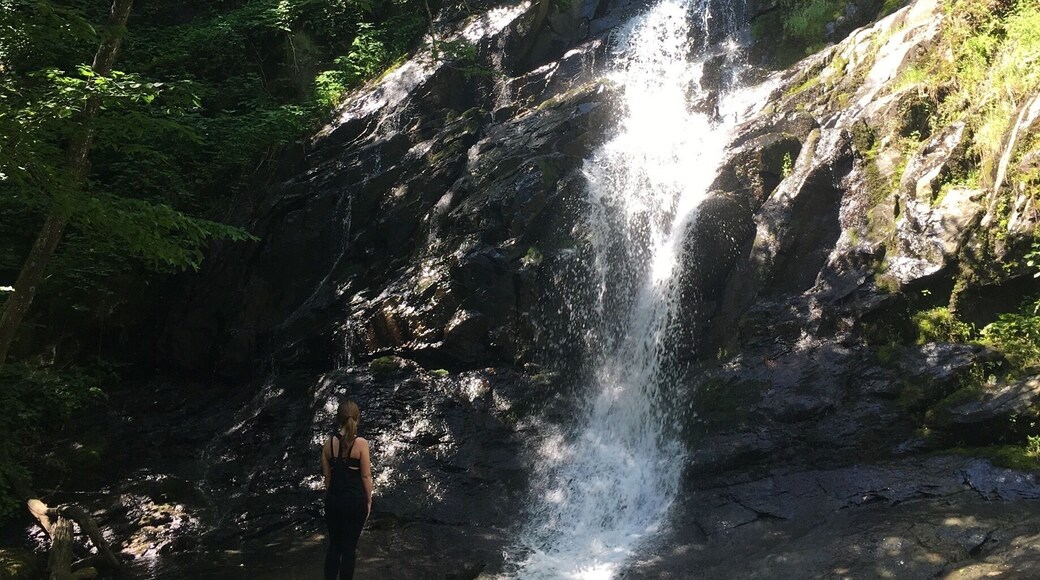 One of the many beautiful waterfalls off of Skyline Drive in Virginia. This was one of many my friend Cassie and I saw while hiking Doyle's River Falls trail this summer.