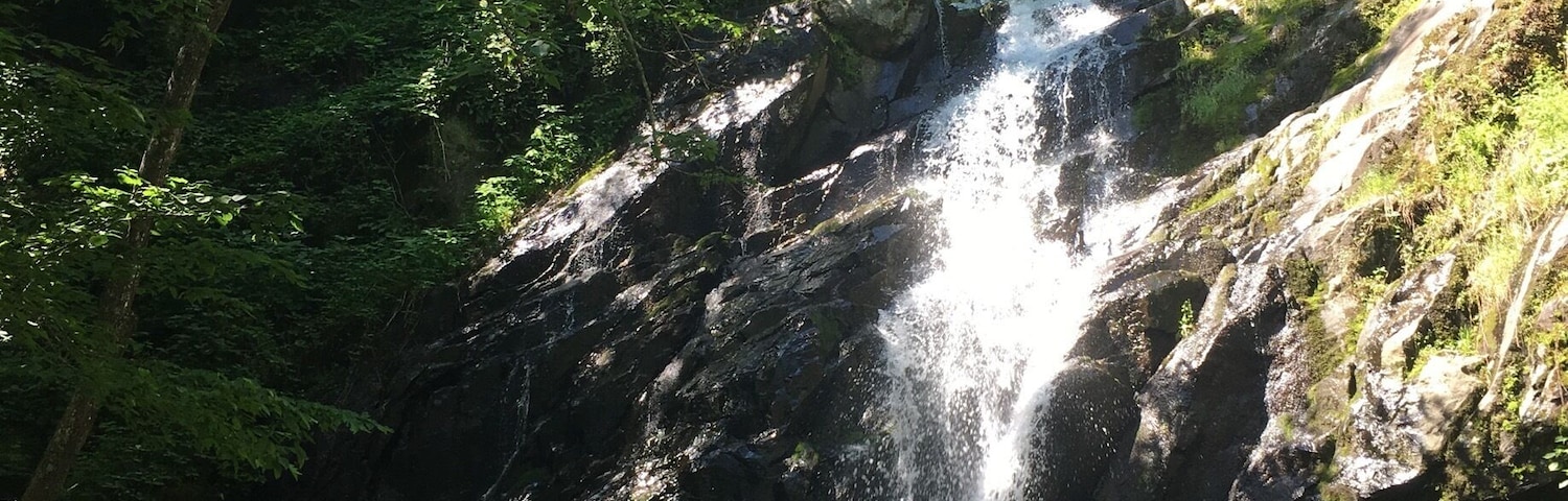 One of the many beautiful waterfalls off of Skyline Drive in Virginia. This was one of many my friend Cassie and I saw while hiking Doyle's River Falls trail this summer.