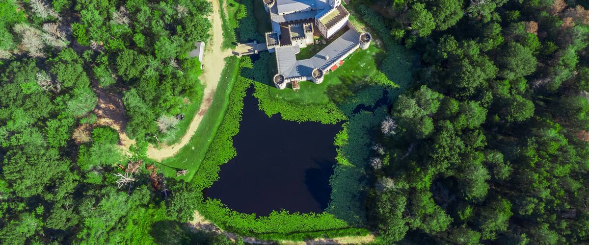 An aerial view of a castle surrounded by dense forest and a small pond.