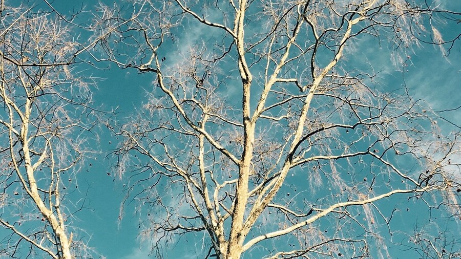 First hike of the New Year