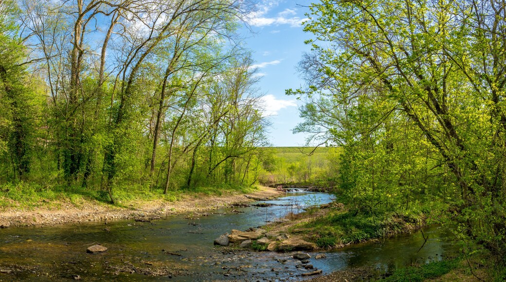 River View at Tanyard Creek Nature Trail