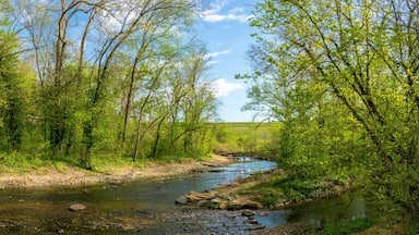 River View at Tanyard Creek Nature Trail