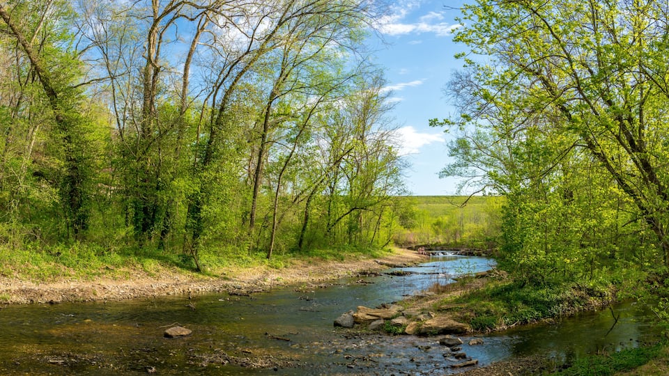 River View at Tanyard Creek Nature Trail