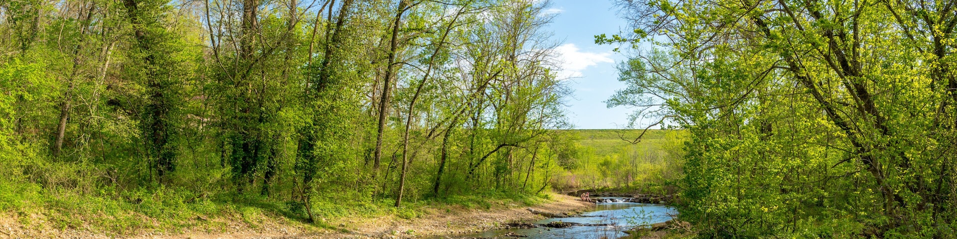 River View at Tanyard Creek Nature Trail