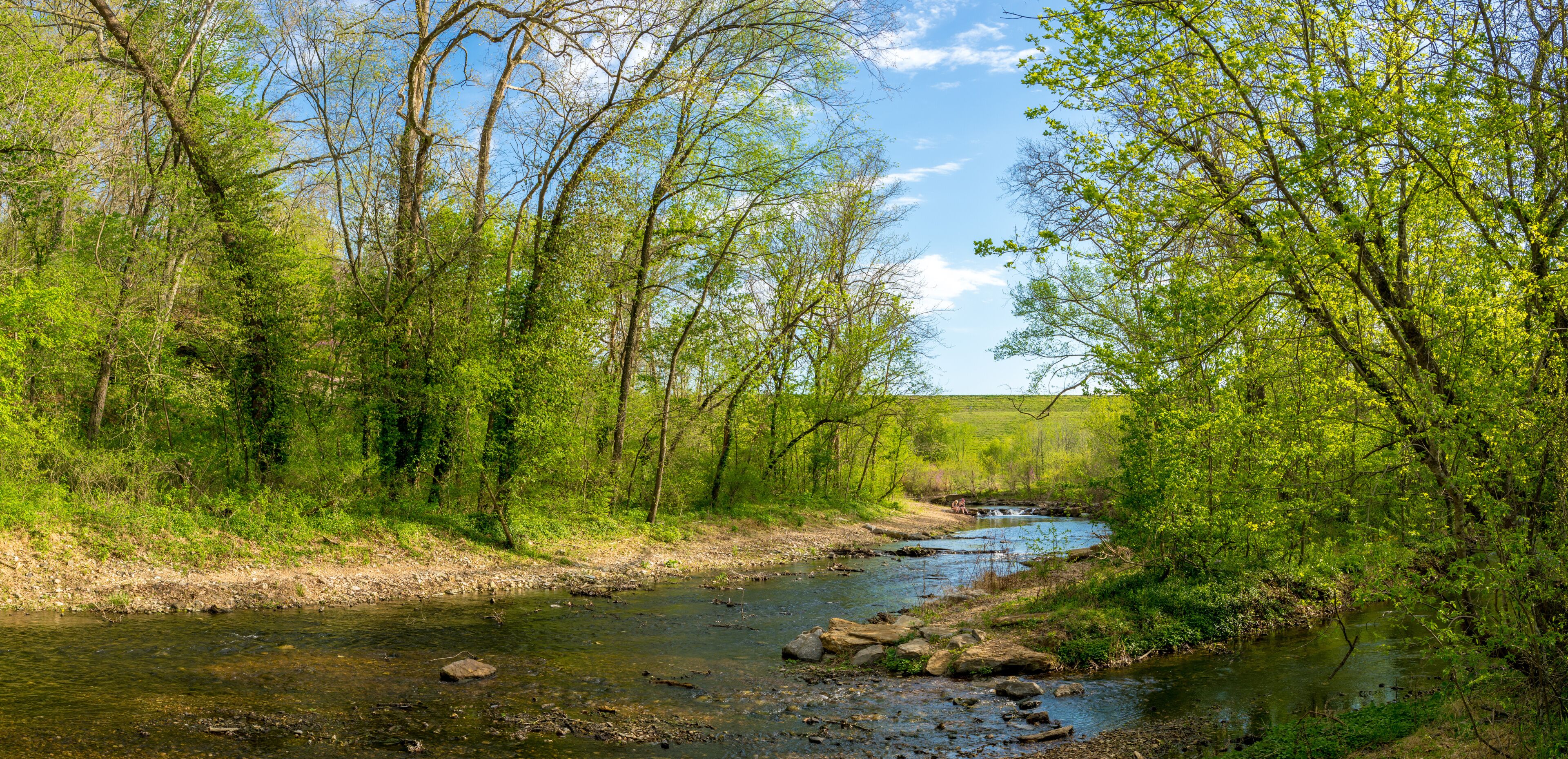 River View at Tanyard Creek Nature Trail