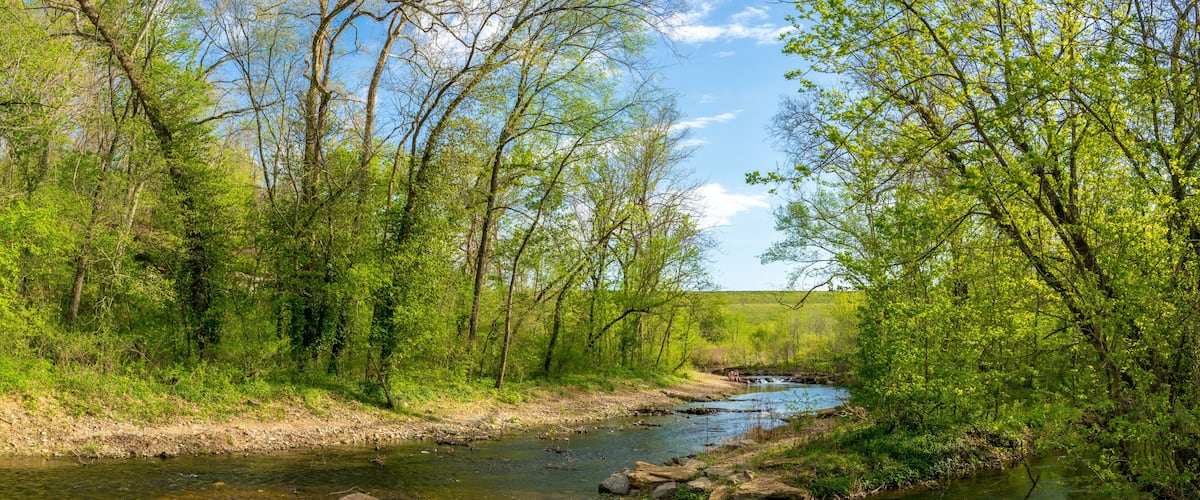 River View at Tanyard Creek Nature Trail