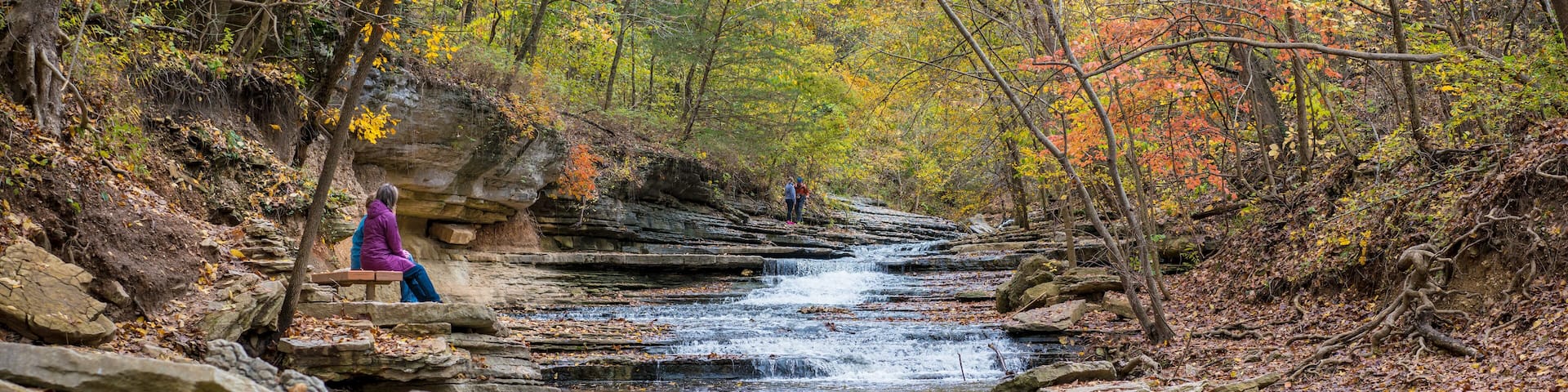 A rocky stream in a forest with autumn foliage.
