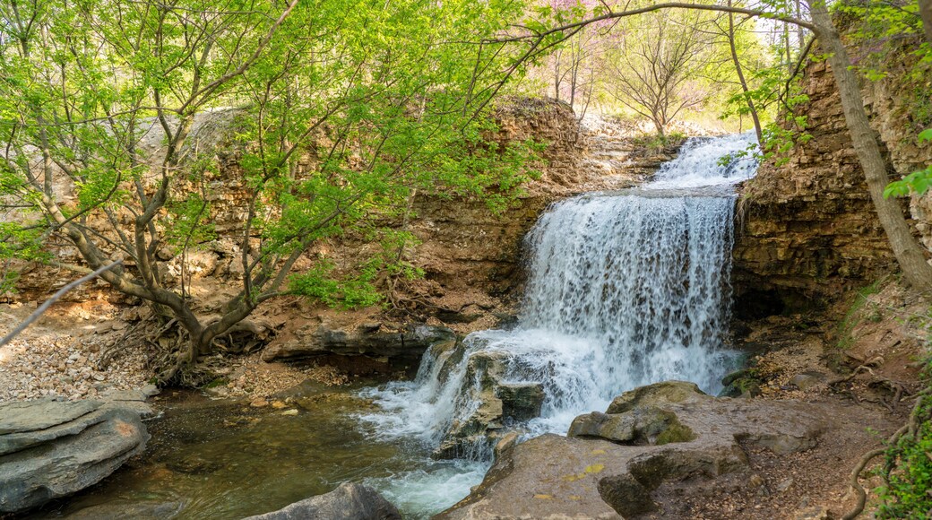 Waterfall at Tanyard Creek Nature Trail, Bella Vista, Arkansas