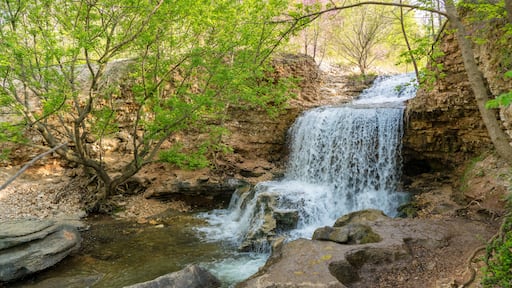 Waterfall at Tanyard Creek Nature Trail, Bella Vista, Arkansas