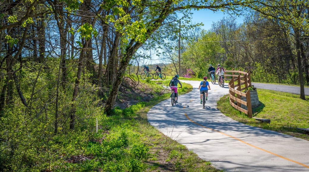 Family with kids biking on bike trail in Bella Vista, Northwest Arkansas