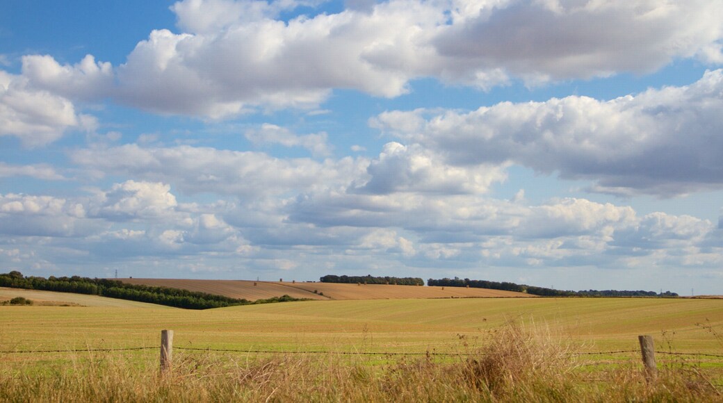 Wiltshire which includes farmland and tranquil scenes