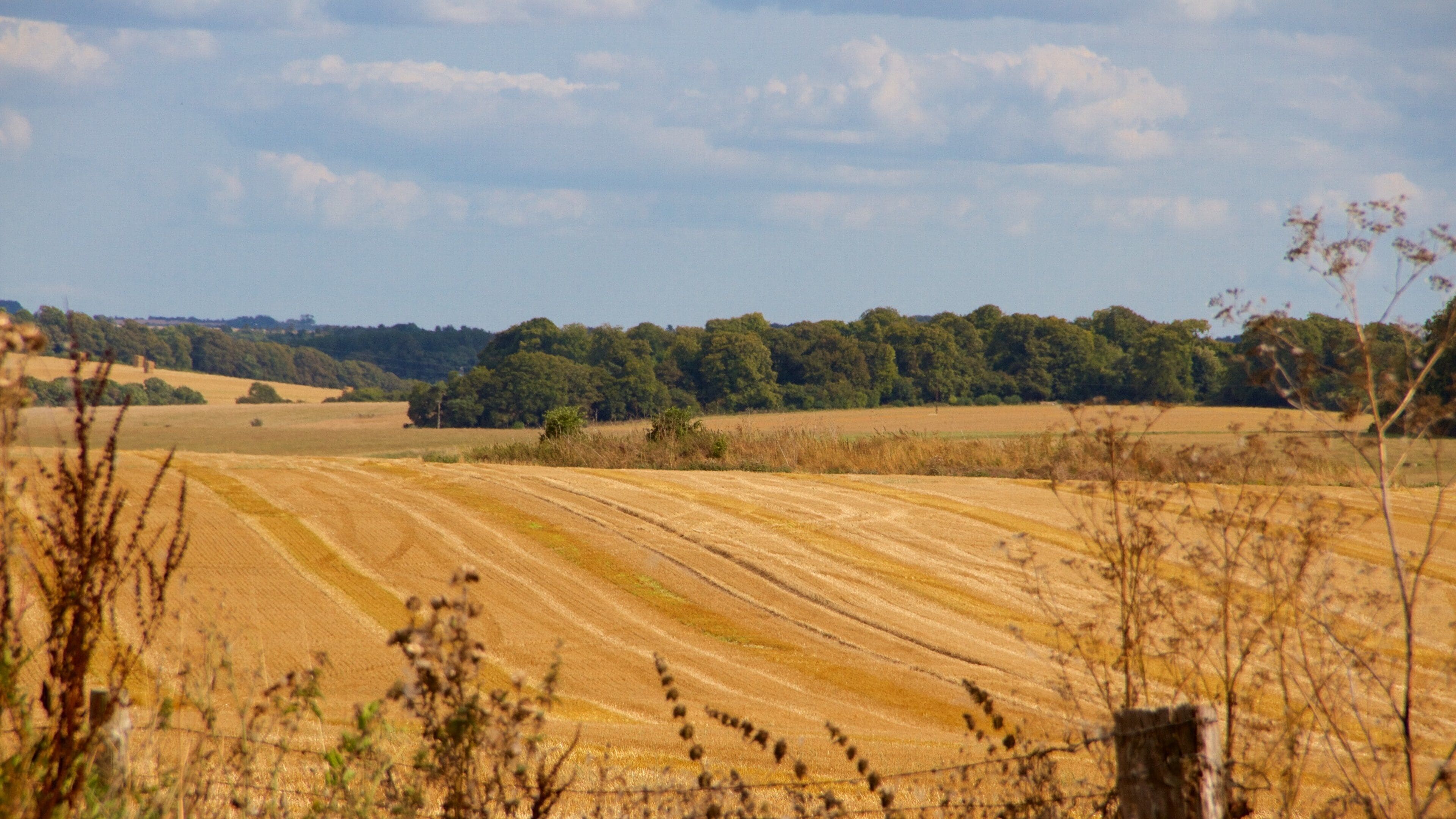 Wiltshire which includes tranquil scenes and farmland