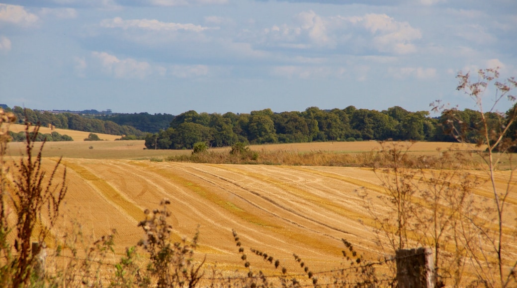 Wiltshire which includes tranquil scenes and farmland