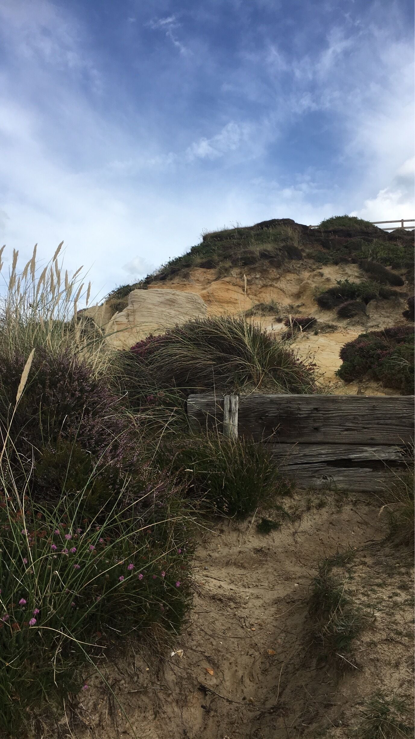 Cloning cliffs to see the sea and the landscapes.❤️ #greatoutdoors
