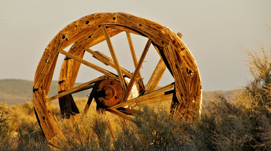 Wooden Bull Wheel from bygone era, Taft Oil Field, California