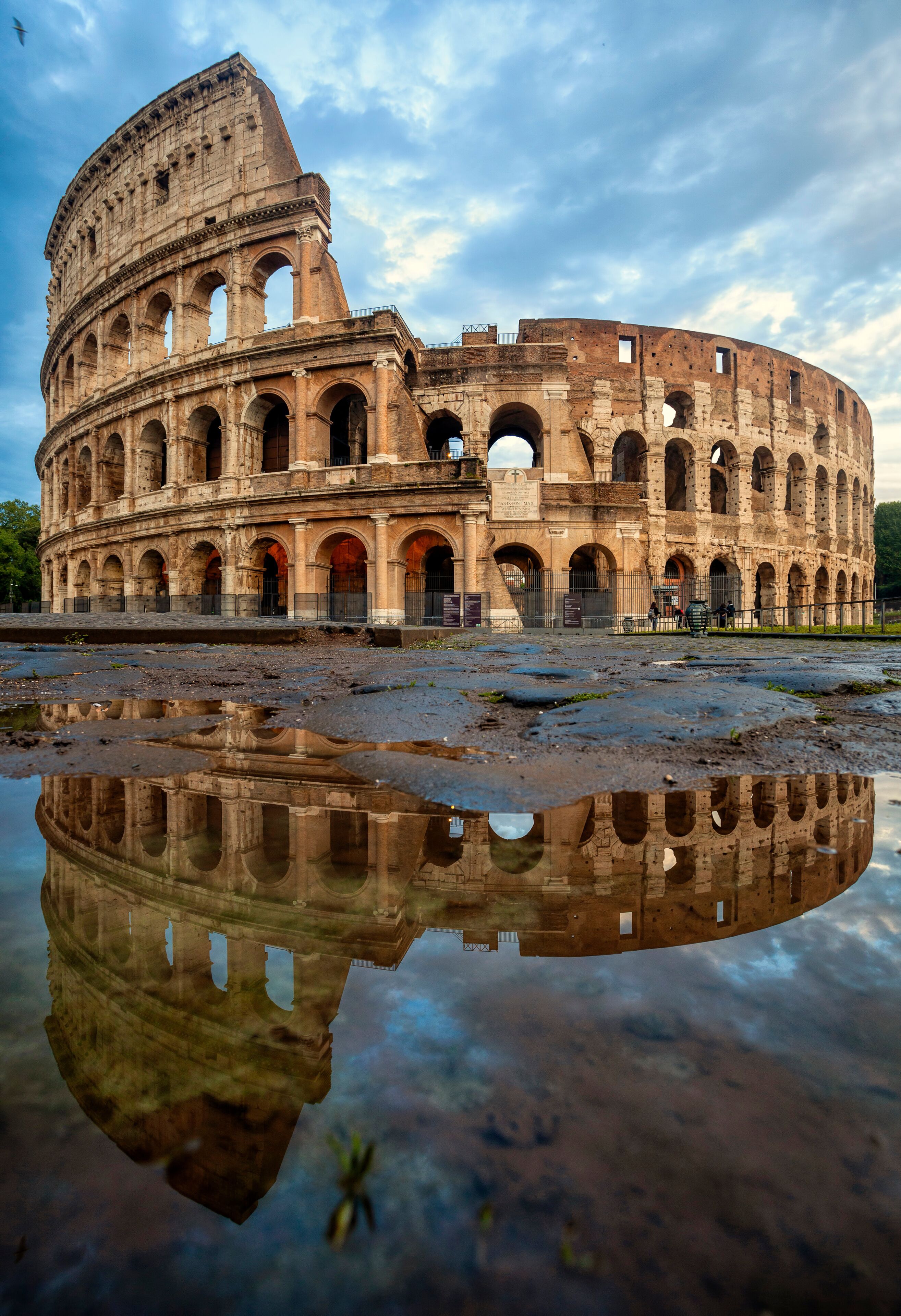 Colosseum morning in Rome, Italy. Colosseum is one of the main attractions of Rome. Coliseum is reflected in puddle. Rome architecture and landmark.
