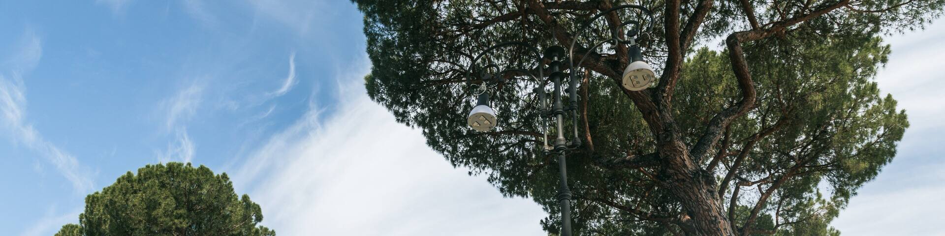 Aventine which includes a park