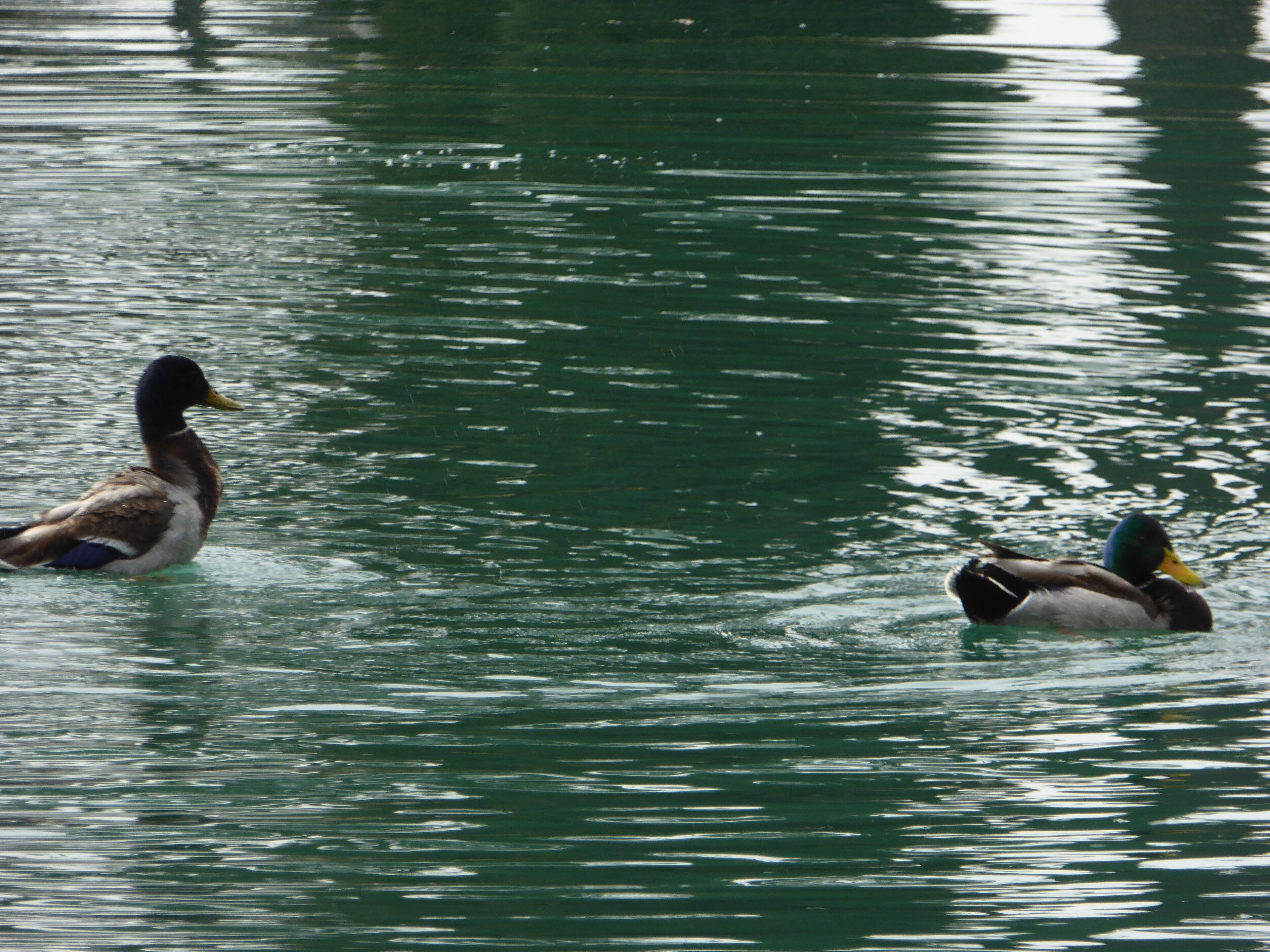 Views of the EUR park.