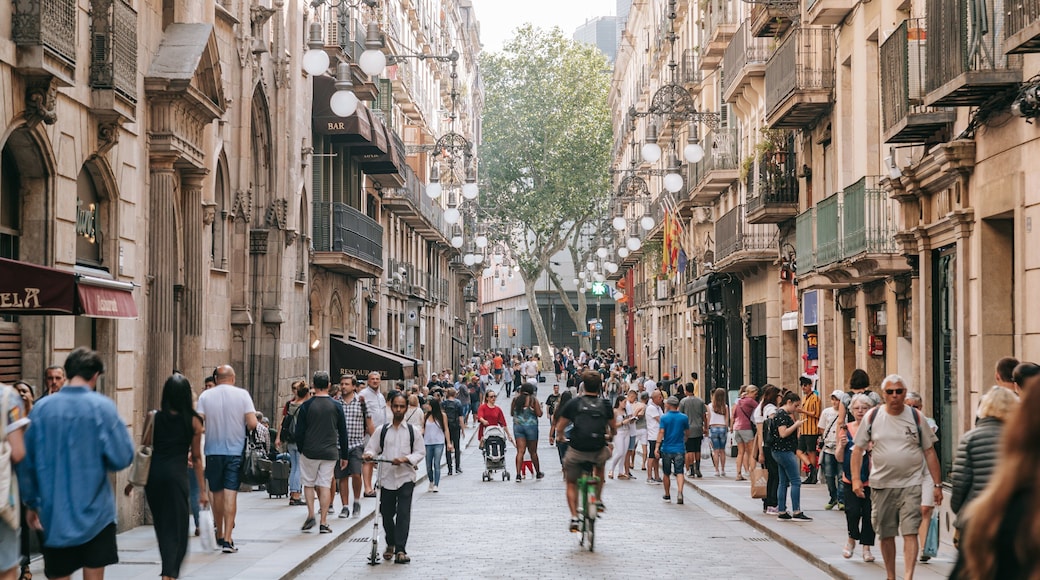 Gothic Quarter showing a city and street scenes