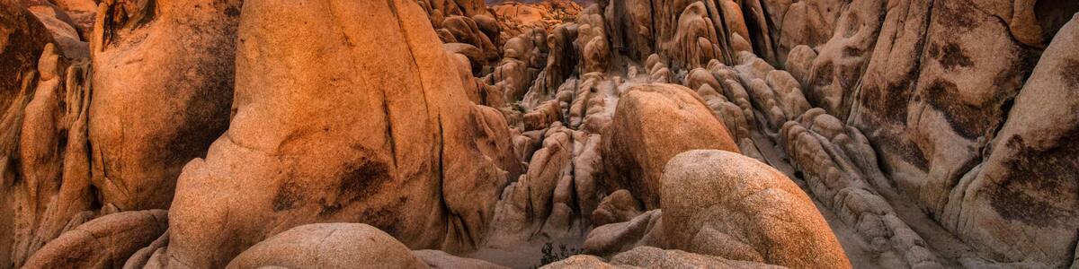 White Tank Campground, Joshua Tree National Park