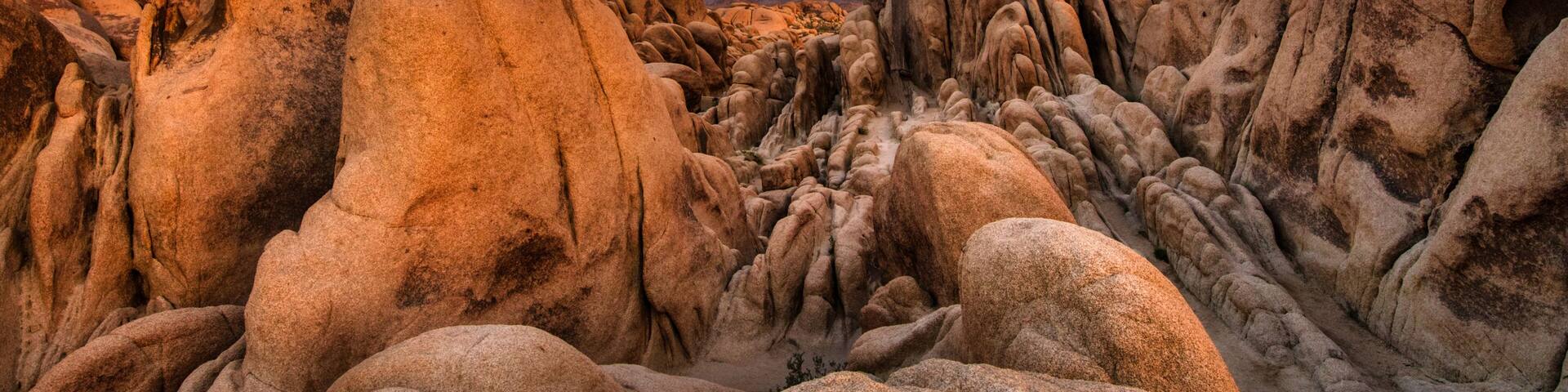 White Tank Campground, Joshua Tree National Park