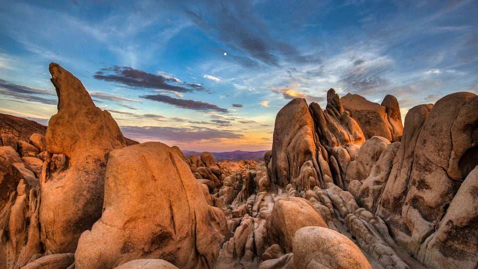 White Tank Campground, Joshua Tree National Park