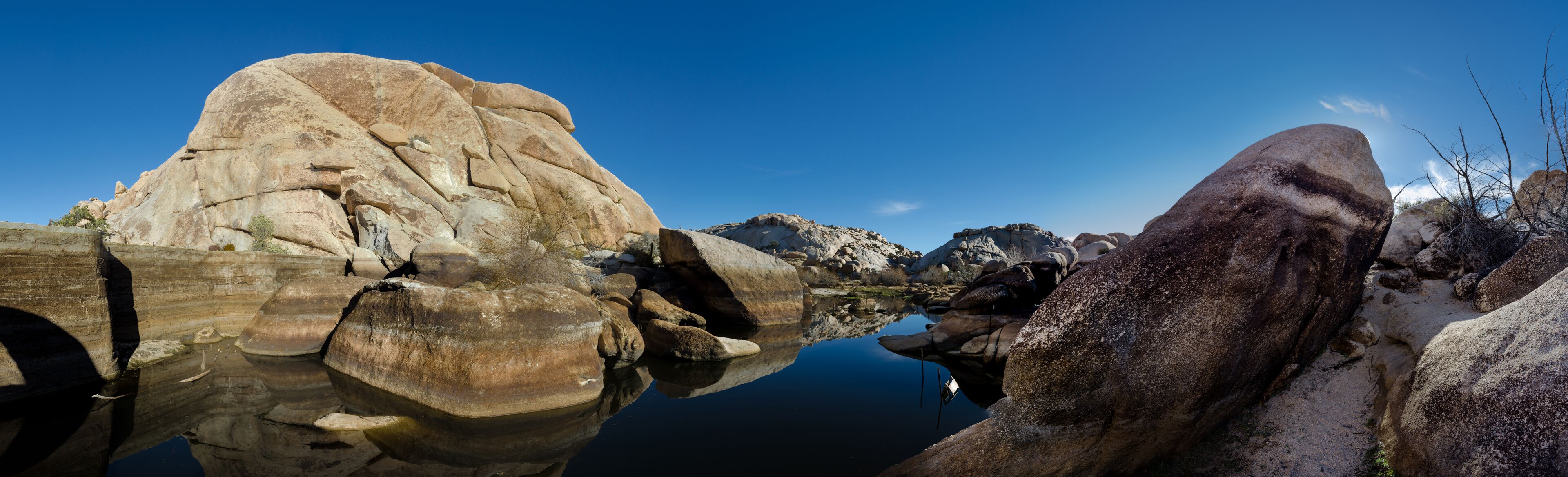 Joshua Tree