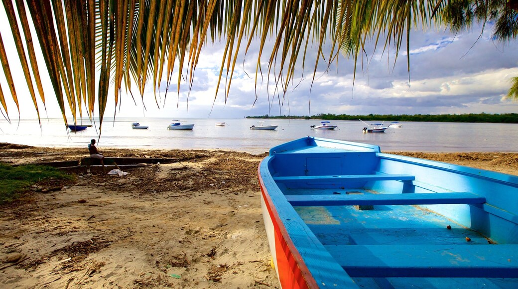 タマリン フィーチャー ビーチ と ボート