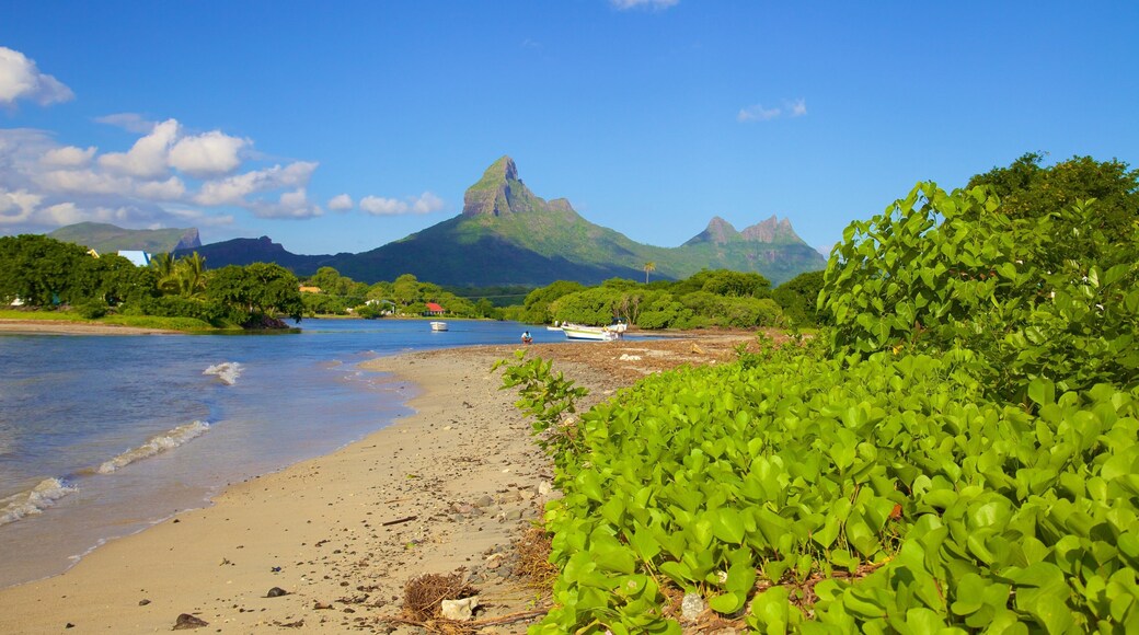 Tamarin featuring a sandy beach and mountains