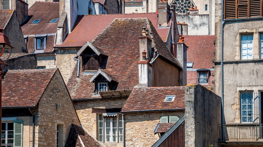 Dôle, sa vieille ville et ses canaux
