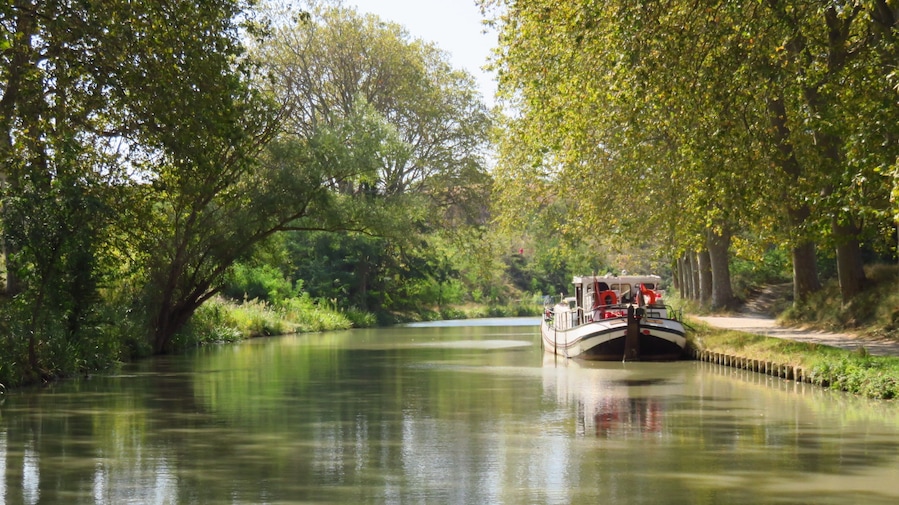 Tourisme fluvial, péniche amarrée sur le Canal du Midi bordé d'arbres en été (France)