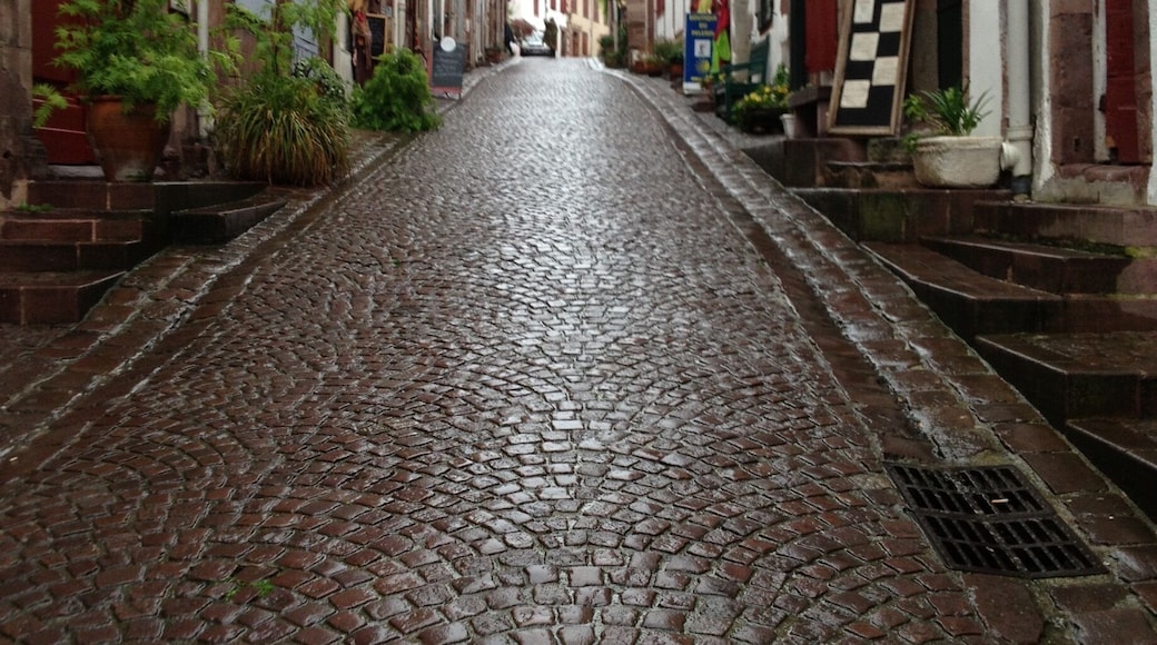 Starting point to the Camino de Santiago! Get your pilgrim's passport here