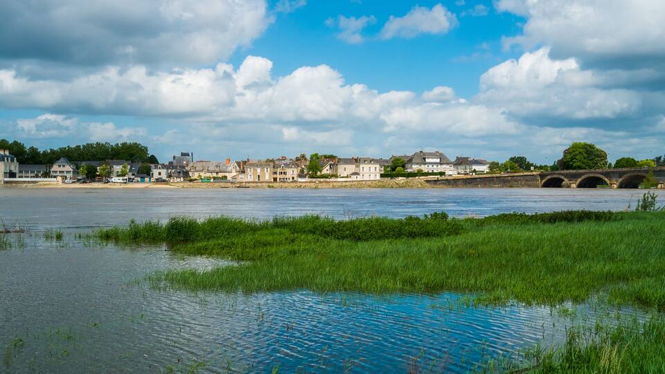 A river with a bridge, houses, and greenery.