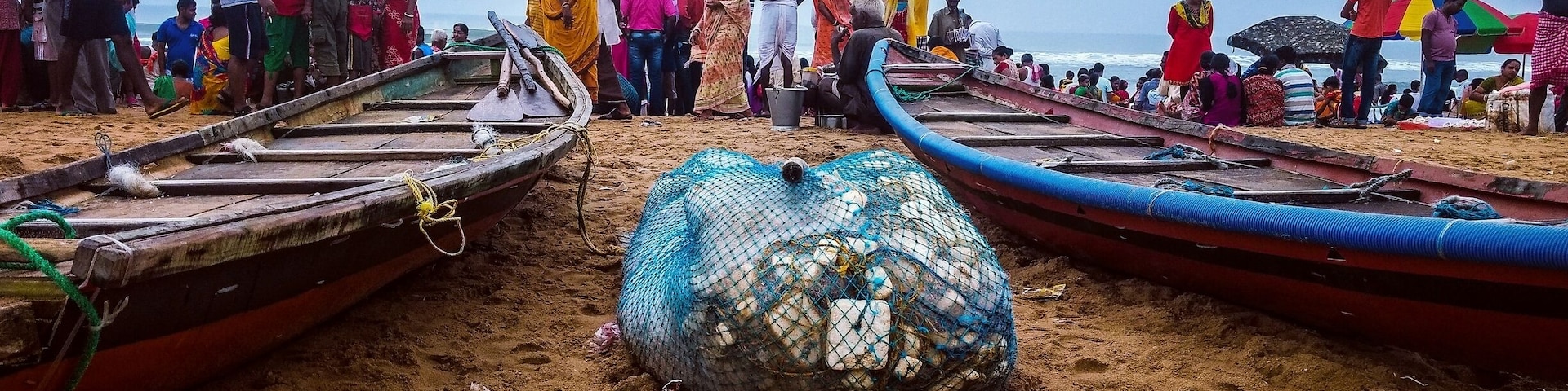 An early morning at the Golden beach, Puri, India when the fishermen brought in their fresh catch
#BVStrove