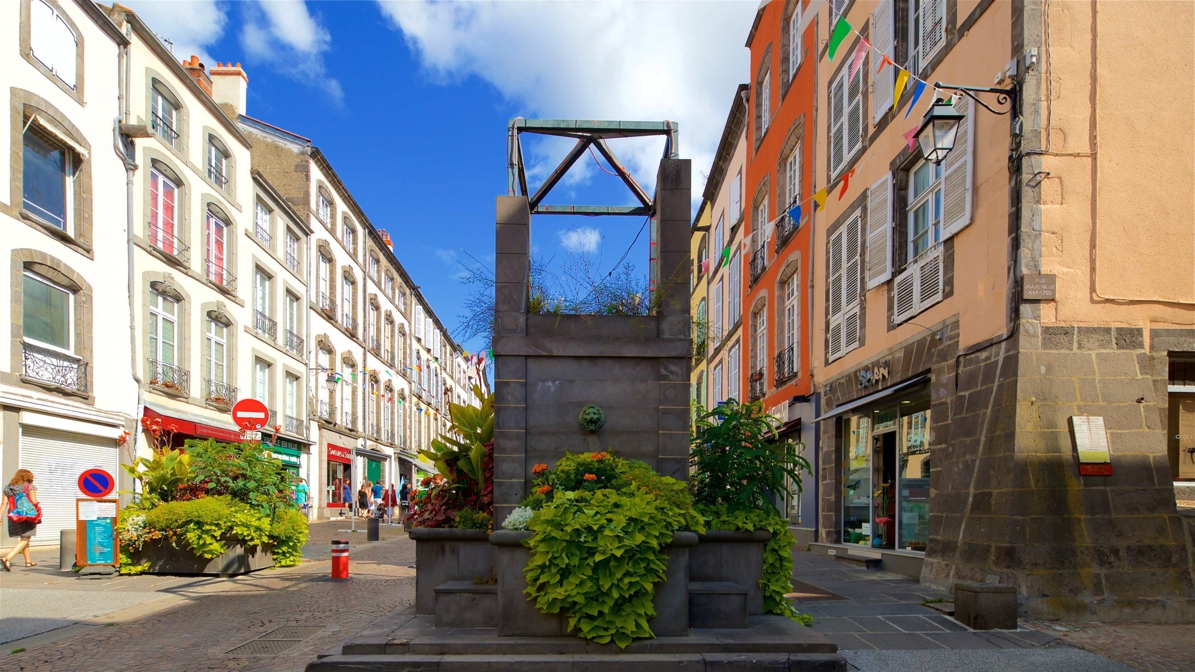 Riom que incluye flores silvestres y una fuente