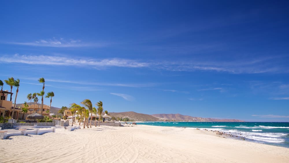 Une plage de sable bordée de palmiers, un ciel bleu azur et, au loin, une chaîne de montagnes.
