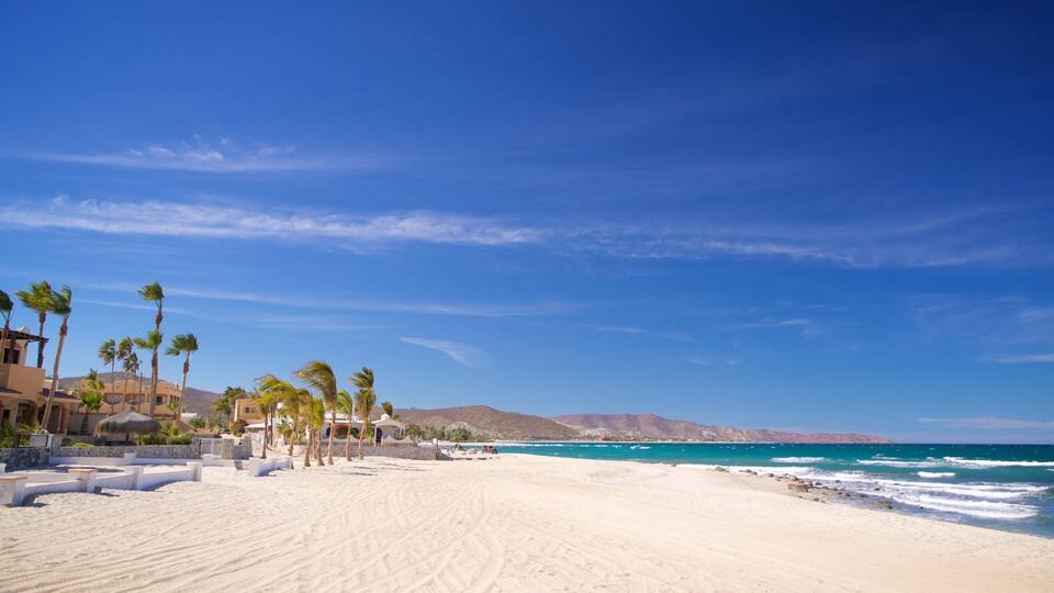 A sandy beach with palm trees, a clear blue sky, and a mountain range in the distance.