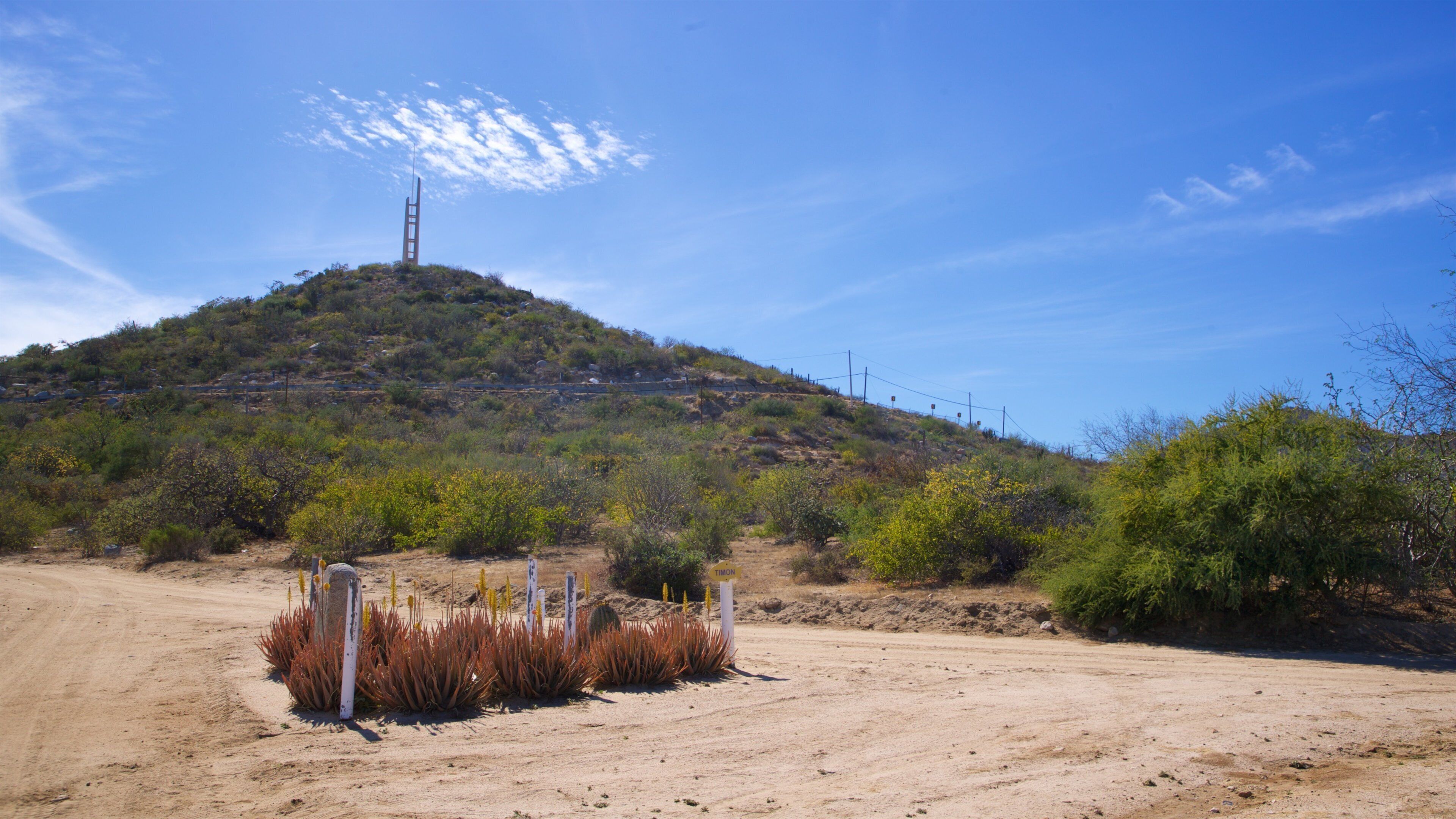 Buenavista showing tranquil scenes and a sandy beach