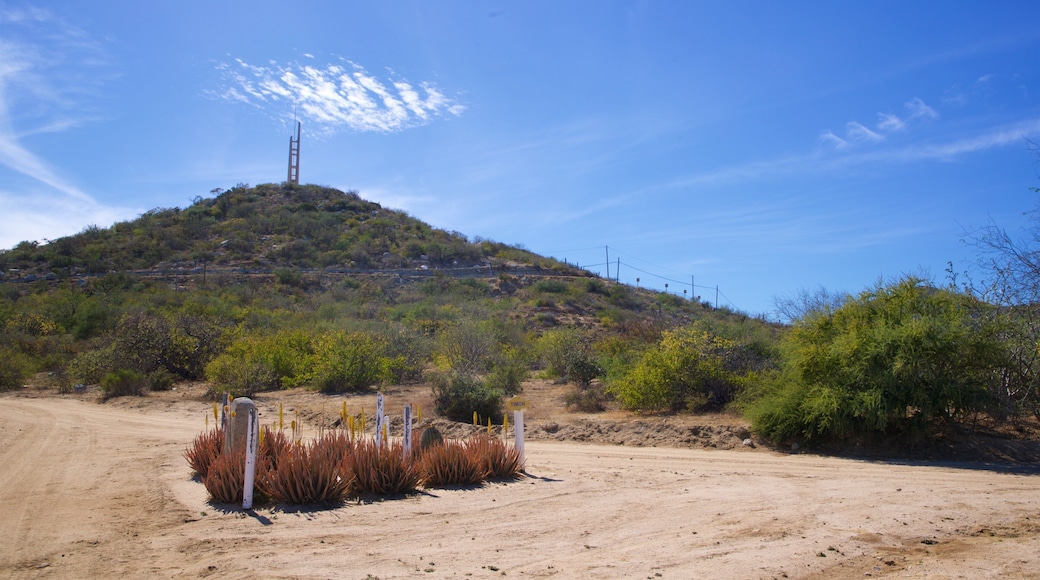 Buenavista showing tranquil scenes and a sandy beach