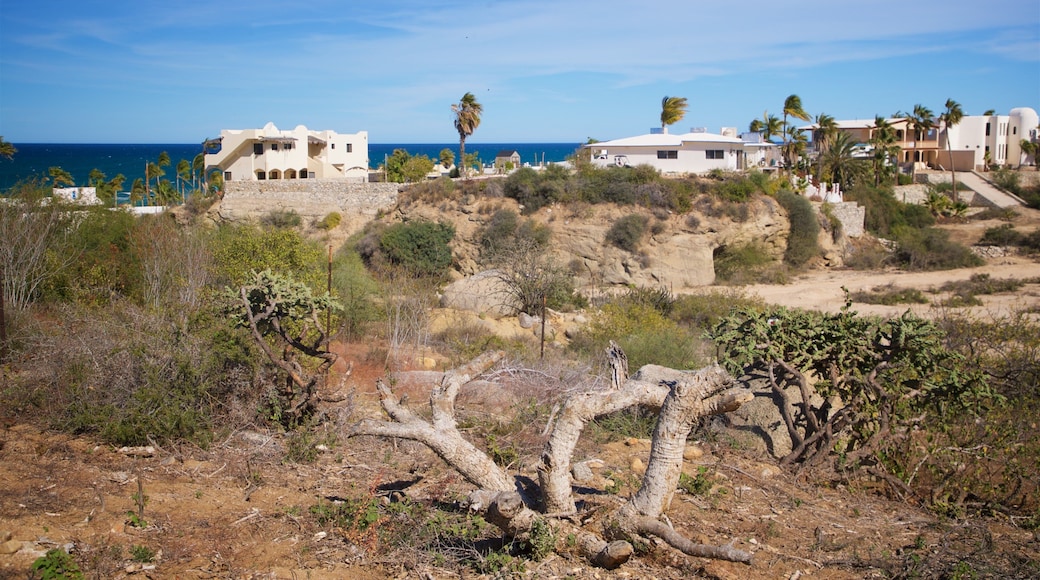 Buenavista featuring general coastal views