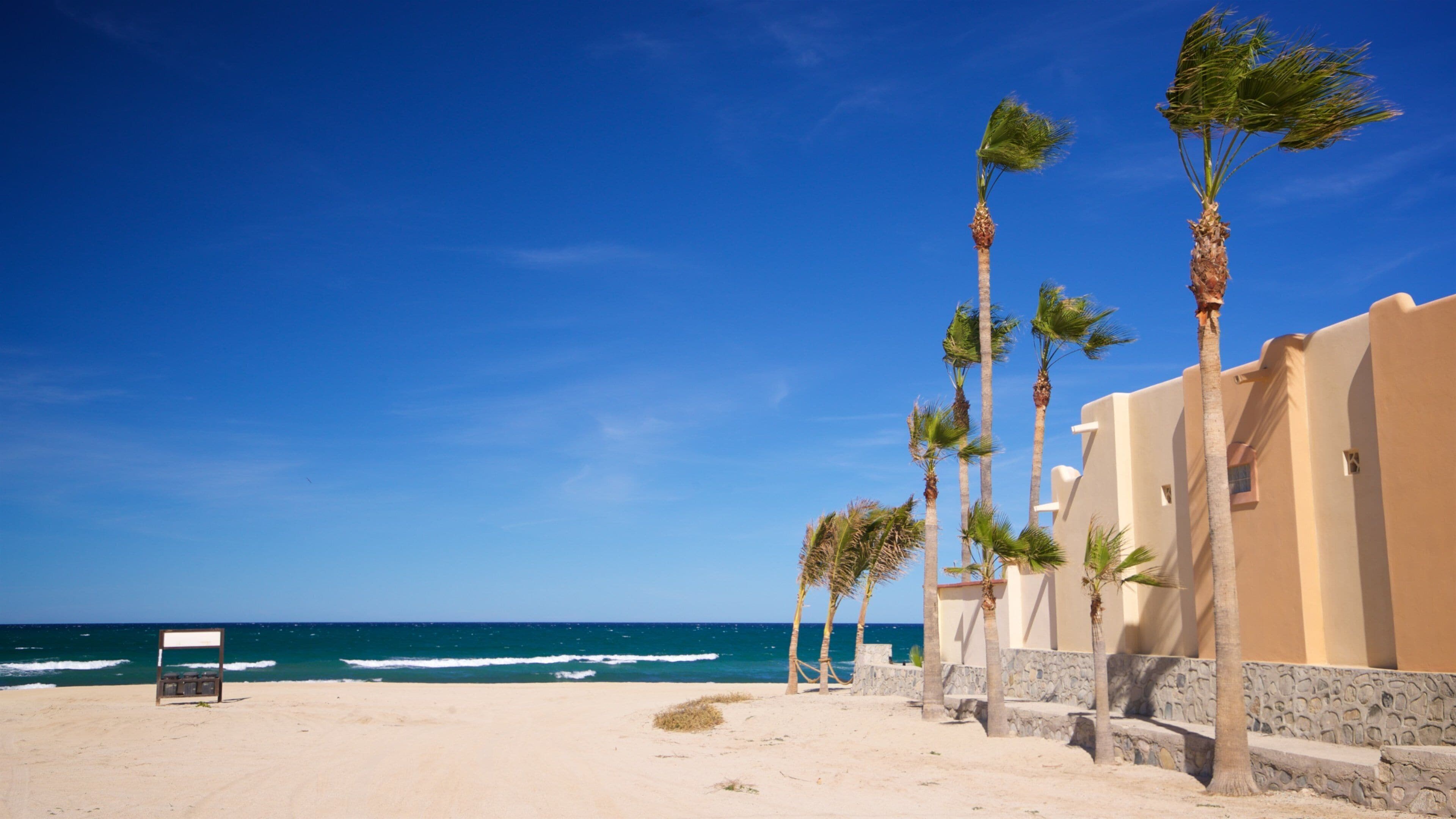 Buenavista which includes a beach and general coastal views