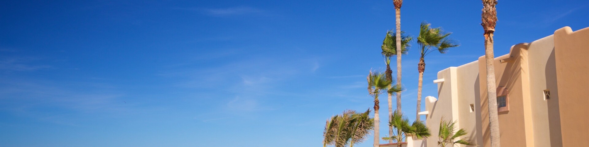 Una playa arenosa con palmeras y un cielo azul despejado.