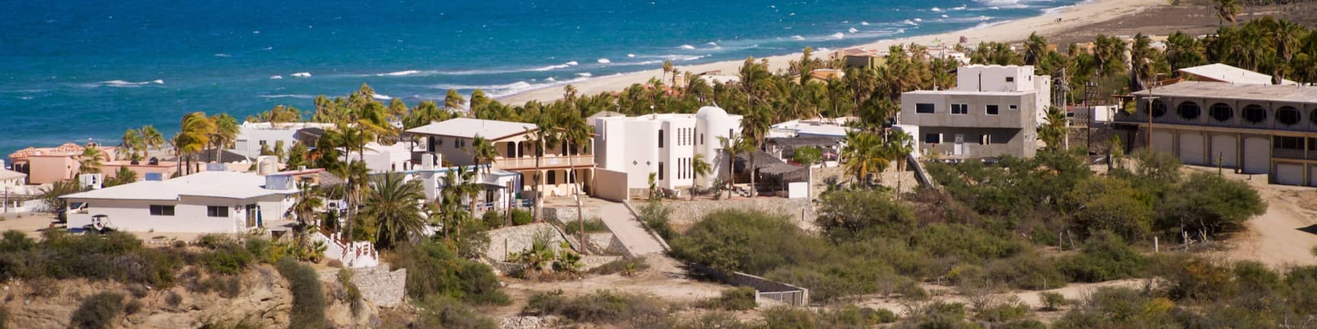 A coastal town with buildings near the beach and palm trees.