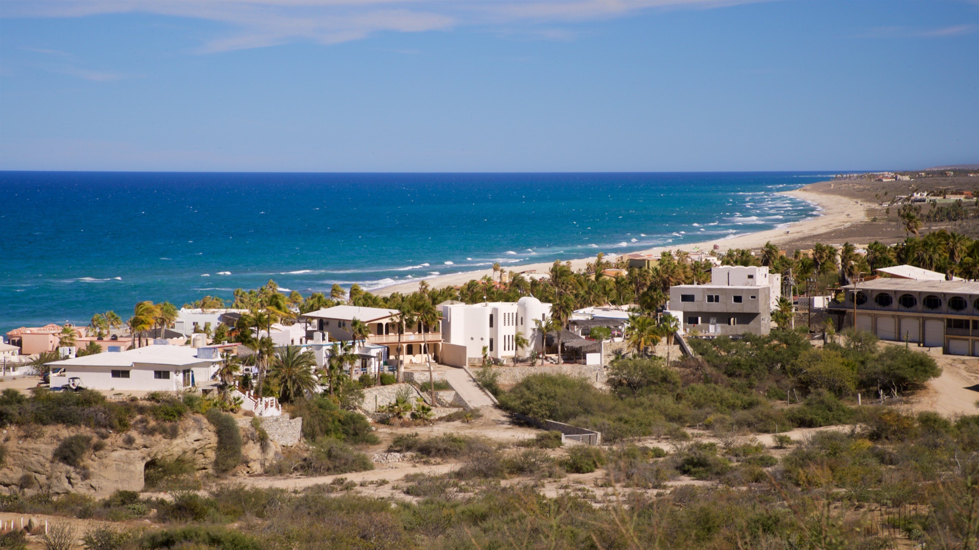 A coastal town with buildings near the beach and palm trees.