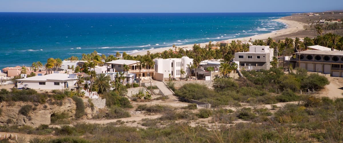 A coastal town with buildings near the beach and palm trees.