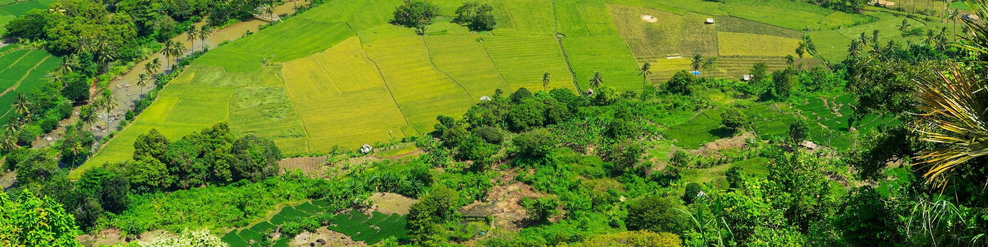 View from above, expanse of rice fields, beach, and rural atmosphere in the Ciletuh Geopark area, Sukabumi, West Java, Indonesia. The Ciletuh area has been designated as a UNESCO Global Geopark.